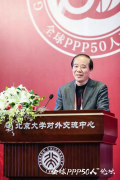 王俊豪：民营企业参与P